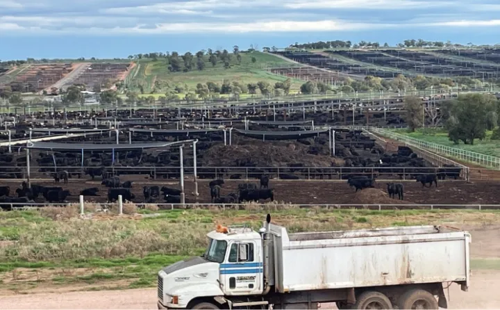 素材のこだわり